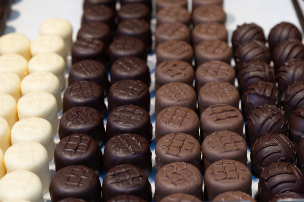 Rows of chocolate truffles, before cropping and processing.