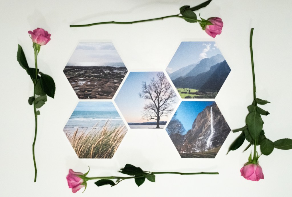Five hexagonal tiles showing landscapes, arranged 2-1-2, framed by four roses around it