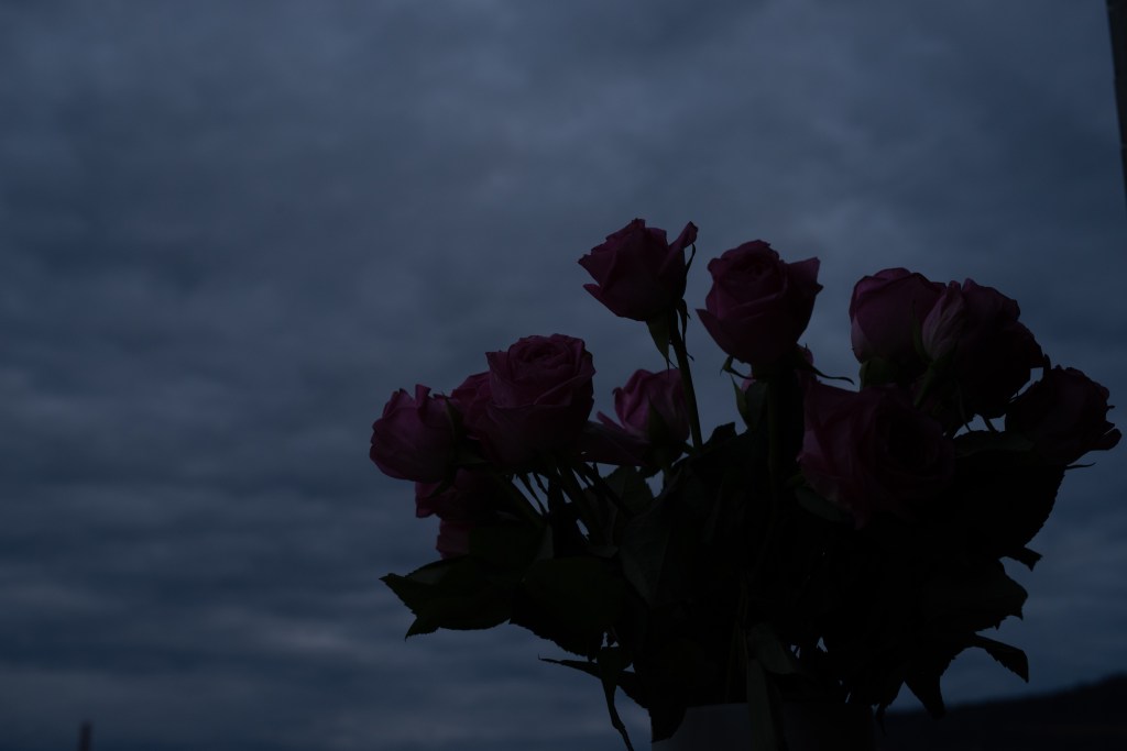 A pink bouquet of roses in front of a cloudy sky, underexposed and with a few distracting walls around it
