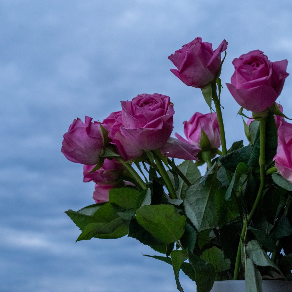A pink bouquet of roses in front of a cloudy sky