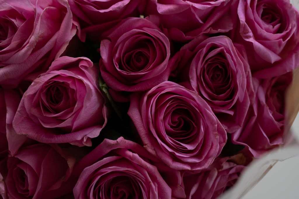 A close up of a pink rose bouquet, where 5 roses are visible (and 5 more are out of frame, but their edges are still there). The image is darker and one can see the paper around the bouquet.