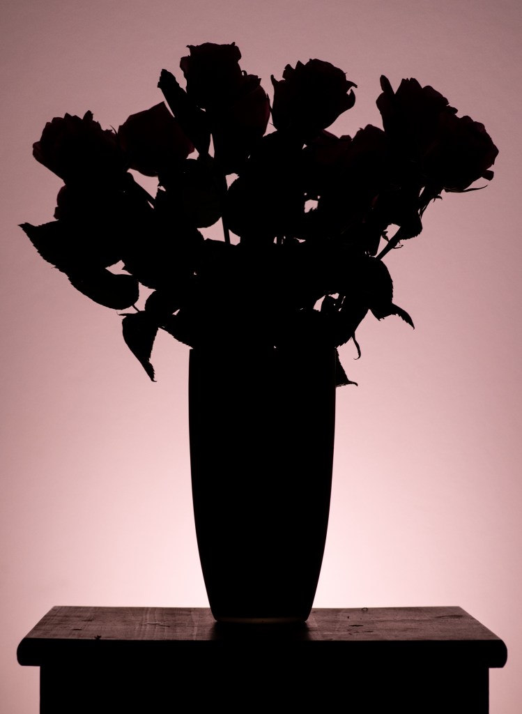 A silhouette of a rose bouquet on a wooden stool, with a pink background.