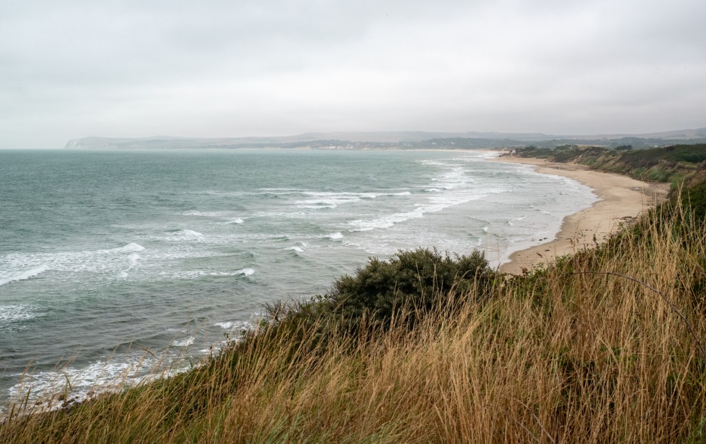 A green see with a bit of sandy beach, some yellow plants in the foreground, a peninsula in the fog in the background.